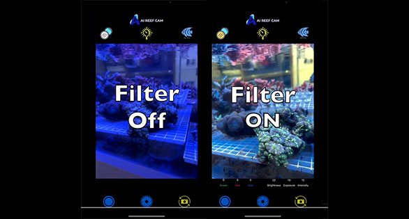 iPhone App Filters “Windex” Blue From Reef Tank Photos and Videos