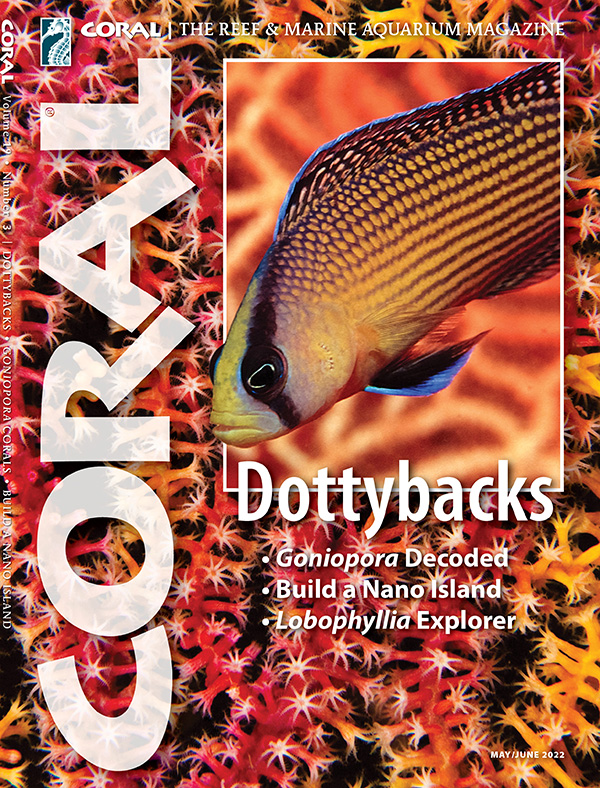 CORAL Magazine Volume 18, Issue 3, Host Anemones