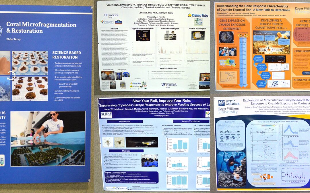 What You Missed at MACNA 2022: Poster Sessions