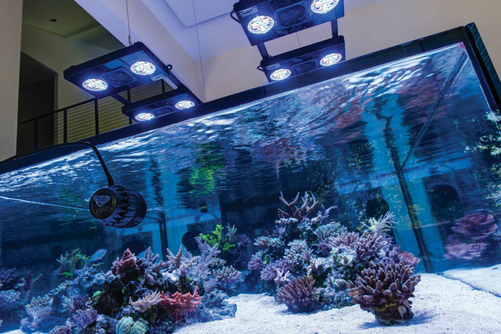The system of the future [in 2014], in which lighting and current-producing pumps work in sync to produce more realistic variations on daily and seasonal cycles. This tank features Radion LED lights and VorTech pumps controlled electronically by a ReefLink computer system, all by EcoTech Marine.