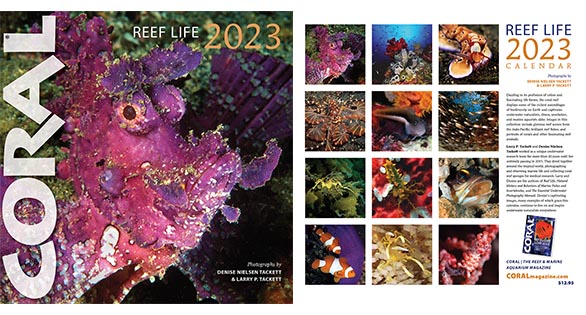 The 2023 Reef Life Calendar is Available Now!