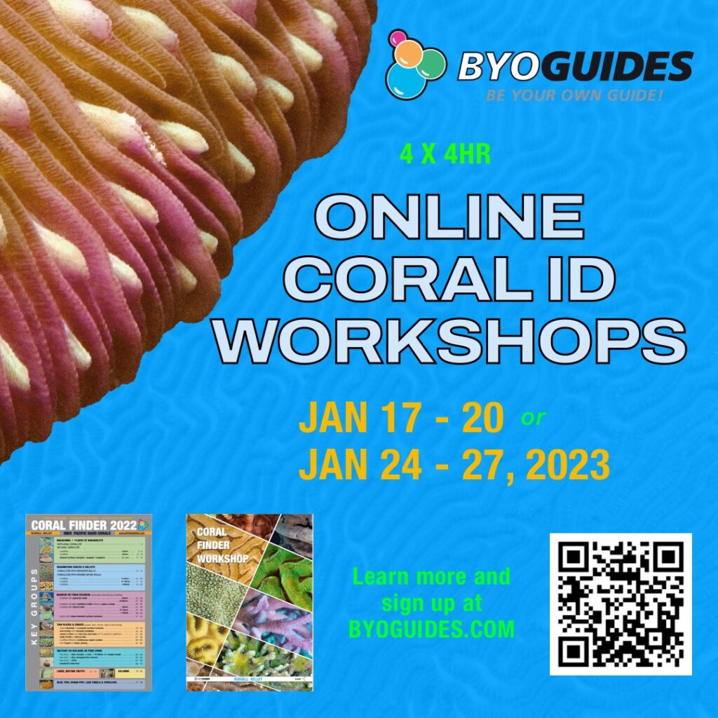 Two sessions are available in January 2023 for the online CORAL ID Workshops from Russell Kelley.