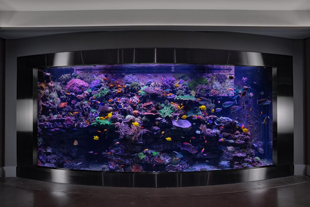 Creating a living masterpiece reef aquarium of this scale requires years of experience and a dedicated team of professionals.