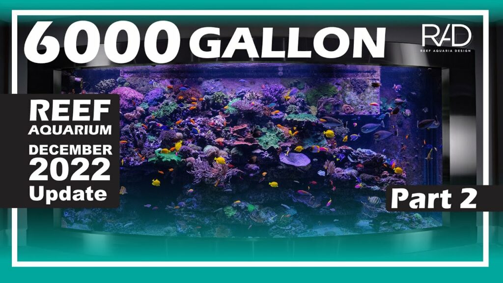 CORAL Magazine invited the team at Reef Aquaria Design to document an impressive 6,000-gallon reef aquarium installed in a private Atlanta residence. Watch Part 2 of their video coverage below, and read all about it in the January/February 2023 issue of CORAL Magazine.