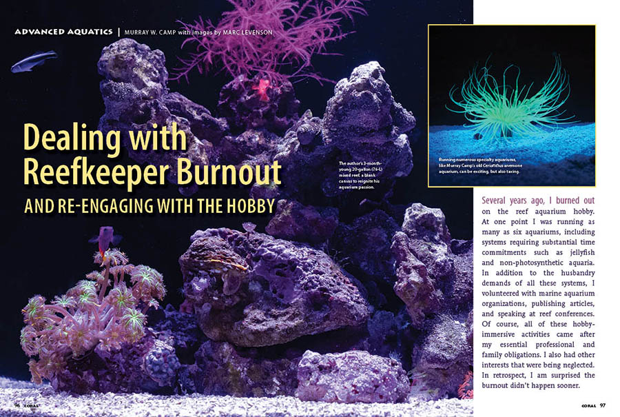 VIDEO: On Reefkeeper Burnout, an interview with Murray Camp