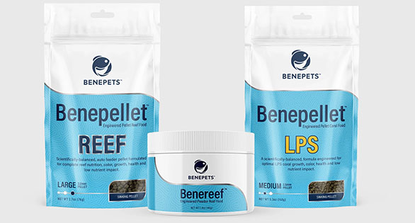 Benepets’ New Pellet-Form Reef And Coral Foods