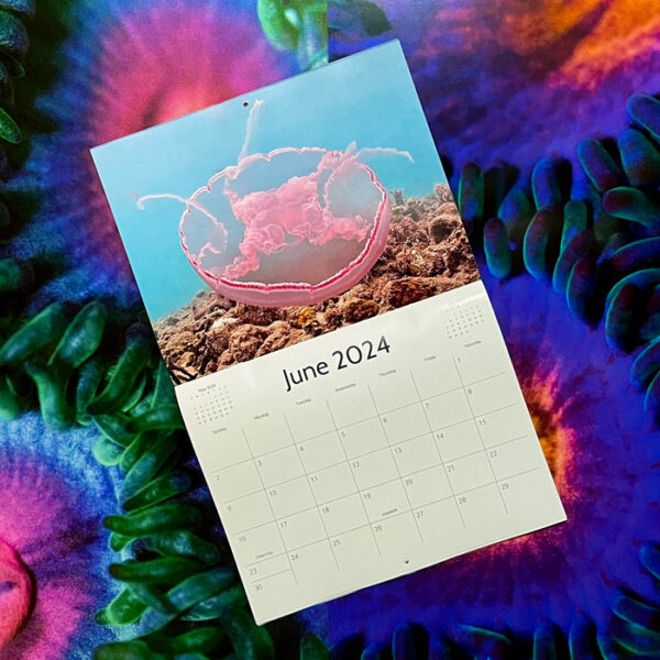 CCC2024Calendar CORAL Magazine