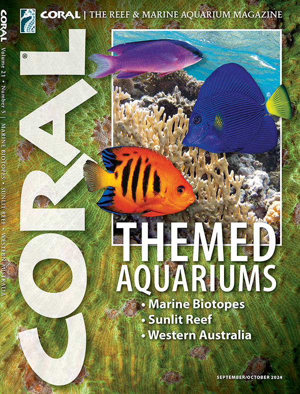 CORAL Magazine Volume 18, Issue 3, Host Anemones