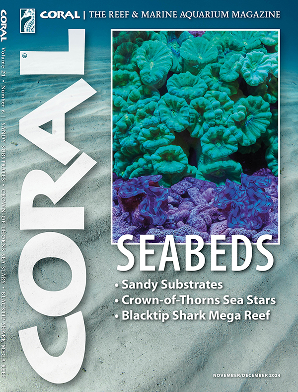 CORAL Magazine Volume 18, Issue 3, Host Anemones