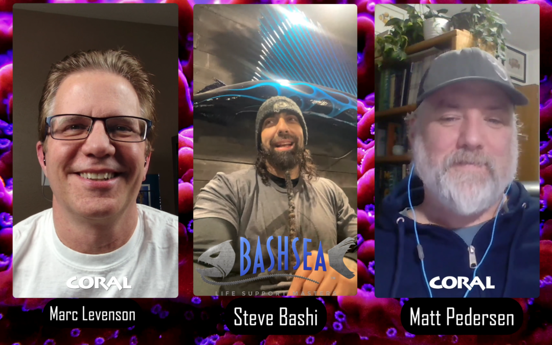 VIDEO: CORAL Filtration Interview with Steve Bashi of Bashsea