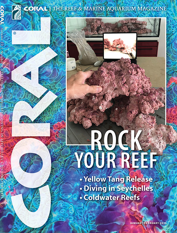 CORAL Magazine Volume 18, Issue 3, Host Anemones