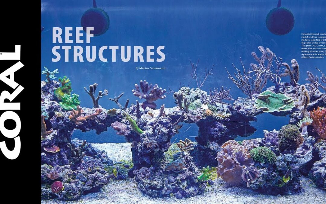 VIDEO Inside Look: CORAL Magazine “ROCK YOUR REEF”