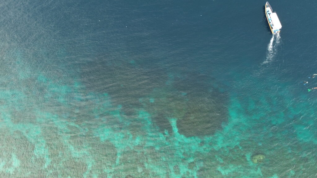 Aerial drone image of the vast Galaxea astreata reef in the center of the image. This coral is located in Nusa Penida, Bali, with a boat nearby providing scale for its immense size.
