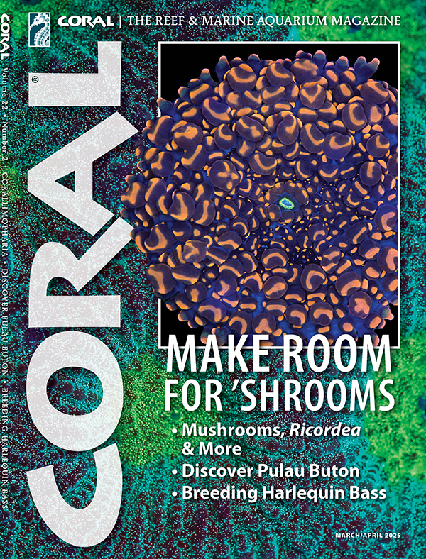 CORAL Magazine Volume 18, Issue 3, Host Anemones