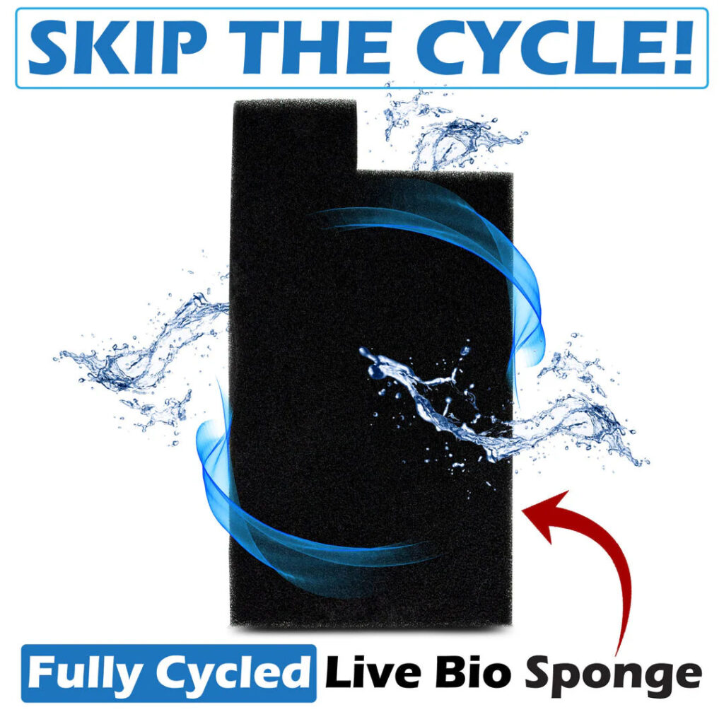 Jellyfish aquarium specialist Jellyfish Art has introduced a line of pre-established filtration sponges that ship overnight, submerged, to facilitate the instant establishment of a full bacterial population for an immediately functional biological filtration.