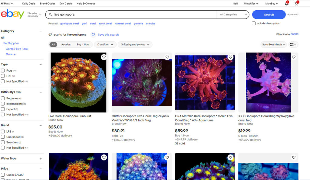 Fish and coral sales on eBay appear to continue "business as usual" at the moment, but a policy change due to take effect in mid-March would effectively shutter one of the largest online marketplaces for small businesses that sell aquarium livestock.