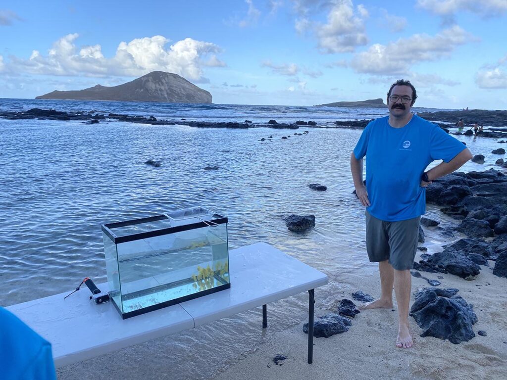 Spencer Davis, participating in the release of Yellow Tangs that occured at Kaupō shoreline, near the Oceanic Institute on Oahu.