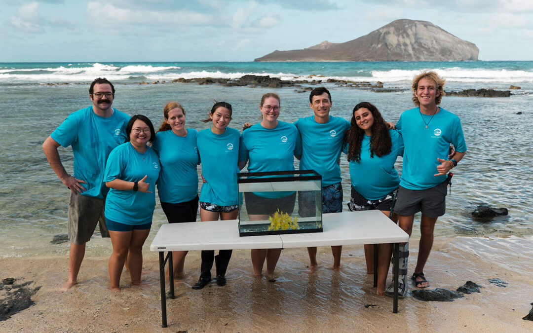 Celebrated and Criticized: Release of Aquacultured Yellow Tangs into The Wild Sparks Conversation